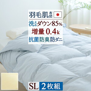 SiP5ő10OFFN[|[2616`18H] Hє|zc _EPbg 2܂Ƃߔ Hѕzc ėp |zc VO 􂦂 HтӂƂ { zCg_E85% VOOT