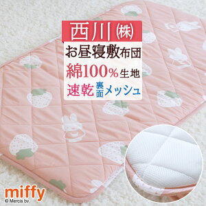 SiP5ő10OFFN[|[420~28H] Qzc ~zc ~zc Q}bg Q}bg ۈ牀 􂦂   ~btB[ miffy \n100 100 RpNg Q~ Q 