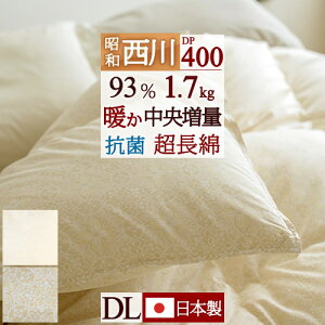 SiP5ő10OFFN[|[2516~8H] Hѕzc  _u zCg_E93% 1.7kg _uTCY DP400 { HтӂƂ  R ~p g  a ԕ _j΍ Hъ|z