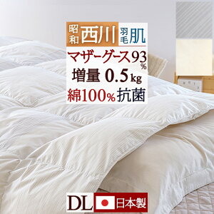Hő10OFFN[|  zCg}U[O[X_E93% _u Hє|zc  _uTCY ėp HтӂƂ _EPbg 0.5kg DP420 a { RۖhL ԕt