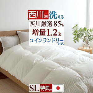 ڋʁ15OFFN[|P10 Hѕzc RCh[Ή VO hG |zc  VOTCY zCg_E85 HтӂƂ 1.2kg Hъ|zc