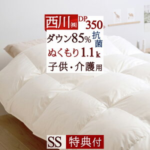 12/1聚11OFFN[|  Hѕzc Z~VO RCh[Ή 􂦂 _E85% DP350  1.1kg [|Jo[Tt] p 2ixbhp TCX qǂ qp W