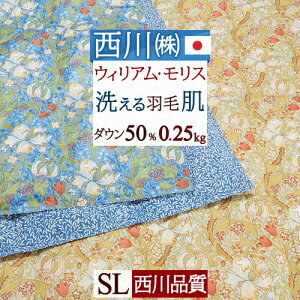 11/1聚11OFFN[|P5 ECAX Hє|zc VO  ėp 􂦂 S[f[ HтӂƂ _E50% 0.25kg EBAX _EPbg |zc ӂƂ 