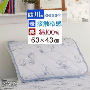 SSʁ10 Xk[s[ Jo[ sP[X  ⊴  ėp Ђ 킢 SNOOPY s[pbh pbh 63×43cm pC 100 N[ ܂Jo[