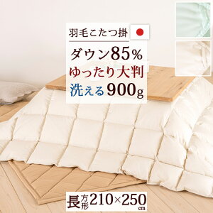 SiP5ő10OFFN[|[2216`8H] Hт|zc ` 210×250cm zCg_E85 RۖhL _jʉߖh~ ÓdC}H 0.9kg { |zc zc EHbV