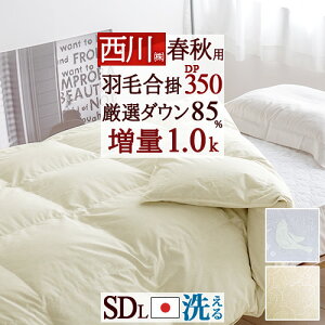 ~ ő10OFFN[| Hэ|zc Z~_u |  Z~_uTCY tHp HтӂƂ 쌵I_E85% 1.0kg DP350 R { Hэ|zc |zc Hѕzc 