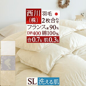 SSʁ10+SiP5[100`26H] 2킹 Hѕzc VO  1.0kg tXYzCg_E90 DP400 HтӂƂ 100 􂦂 { 1N 2 Hъ|zc I[V[Y 