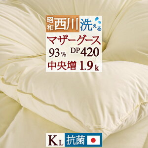 10/18聚11OFFN[| Hѕzc LOTCY LO 􂦂 }U[O[X  O[X y|zcJo[TtzzCg}U[O[X_E93 HтӂƂ  1.9kg DP420 H