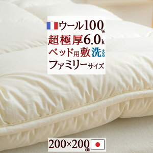 SSʁ10N[| E[xbhpbh t@~[TCY 200×200cm { g tXY r E[100% {[^Cv 6.0kg 100% 􂦂 rуxbhpbh EHbVu 200c