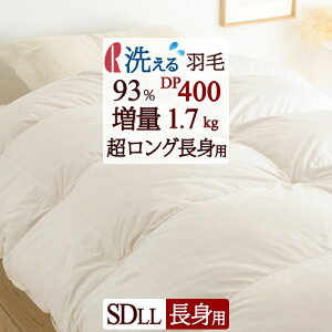 11/1聚11OFFN[| Hѕzc Z~_u gp 1.7kg DP400 Z~_uTCY I_E93%y|zcJo[Ttz HтӂƂ 􂦂 ۂۂtBbgLg 175×230cm 