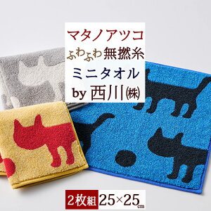 SiP5ő10OFFN[|[2616`18H] }^mAcR ^I ~j^I 25×25cm 2g  100 Q ܂̂ AcR}^m VGbgL L  ӂ 炩