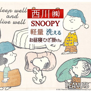 SiP5ő10OFFN[|[3016`8H] Xk[s[ ѕz n[tTCY Ђ|    rO 140×100cm y n[tPbg uPbg j[}C[ LN^[s