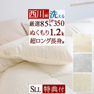 SiP5ő10OFFN[|}\[2120~4H] Hѕzc VO gp  I_E85%y|zcJo[Ttz 1.2kg DP350 RCh[Ή VOO ʂdグ 