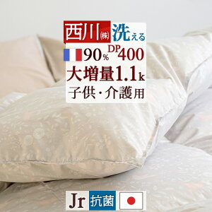 12/1聚11OFFN[|  Hѕzc WjA 呝1.1kg DP400 tXY zCg_E90% y|zcJo[Ttz qǂ qp p yʐn { 􂦂 RCh