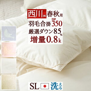 11/1聚11OFFN[| Hэ|zc |  VO tHp HтӂƂ VOTCY 쌵I_E85% 0.8kg DP350 R { Hэ|zc |zc Hѕzc ԂƂ VO