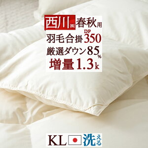 11/1聚11OFFN[| Hэ|zc |  LO LOTCY tHp HтӂƂ 쌵I_E85% 1.3kg DP350 R { Hэ|zc |zc Hѕzc ԂƂ LOO