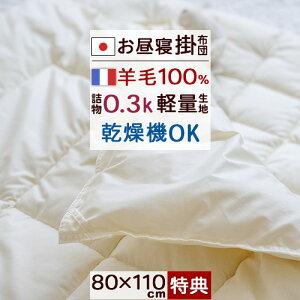 SiP5ő10OFFN[|[2416`8H] [v[gt]Qzc |zc { ۈ牀 ct E[100 􂦂 EHbVu @Ή E[Q|zc 80×110 ǂ 