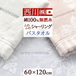 SSʁ10N[| EGbWEbh ^I oX^I 60×120cm {  100 ChXgx[ 슔 ԕ 킢  EGbWEbh