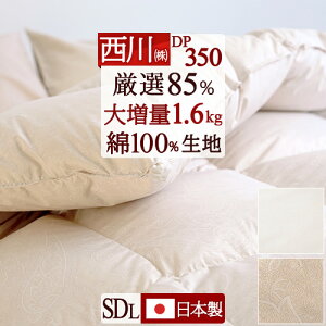 SiP5ő10OFFN[|}\[20܂] Hѕzc Z~_u  w1.6kgx 쌵I_E85% ʂdDX DP350 HтӂƂ 100n { Hъ|zc HтӂƂ Z~