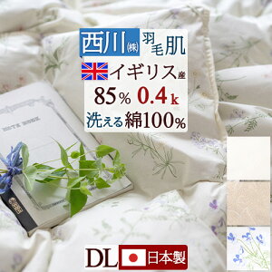 11/1聚11OFFN[| Hє|zc _EPbg _u  􂦂 Hѕzc _uTCY ėp HтӂƂ CMXYzCg_E85% ӂ 0.4kg n 100% { oCIA