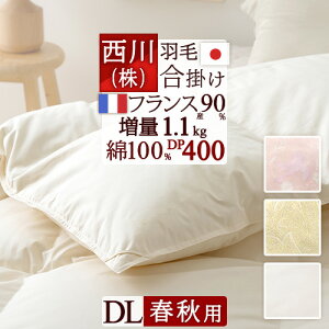 SiP5ő10OFFN[|}\[20܂] Hэ|zc _u tHp Hѕzc HтӂƂ Hэ|ӂƂ 100%n 1.1kg tXYzCg_E90% DP400 { |