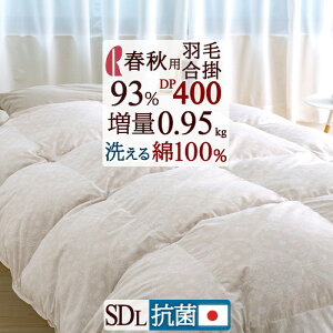 12/1聚11OFFN[| |zc Z~_u _E93% DP400 0.95kg Z~_uTCY HтӂƂ Hэ|ӂƂ 100% }X 􂦂 Hэ|zc Hэ|zc RC