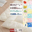 楽天市場 布団 人気ランキング1位 売れ筋商品