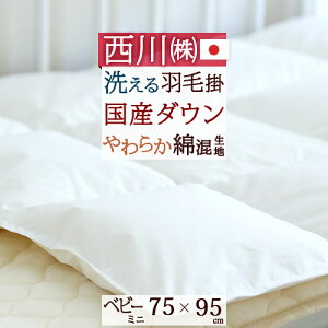 ベビー 掛け布団 ミニの通販 価格比較 価格 Com