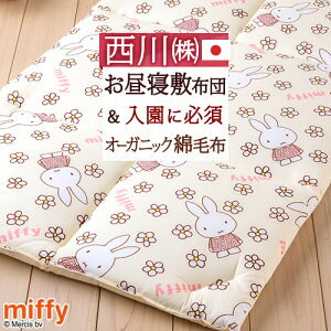 綿毛布 ベビーの人気商品 通販 価格比較 価格 Com