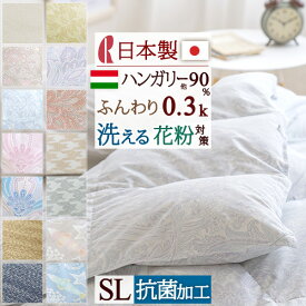 さぁ!春活★最大5,000円クーポン 羽毛肌掛け布団 シングル ダウンケット 夏用 洗える 日本製 羽毛布団 ロマンス小杉 肌掛け布団 ハンガリー産フランス産ダウン90% 0.3kg 羽毛肌布団 夏 肌ふとん 肌掛けふとん シングルロング 薄手 薄い