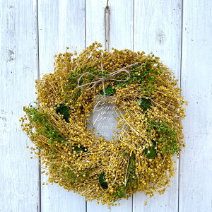 y 2025N mamawreath z [X ~U ~U i`[X t[[X   hCt[ CeA I[V[Y ʔN ̓Mtg ̓ v[g j JXj