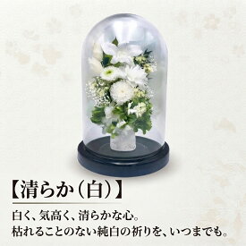 【送料無料】仏花 プリザーブドフラワー 仏壇用 お供え お花 お悔やみ お盆 仏壇 枯れない 仏花 お供え 花 お悔やみ お盆 新盆 初盆 お彼岸 ペットブリザードフラワー 仏花ドーム