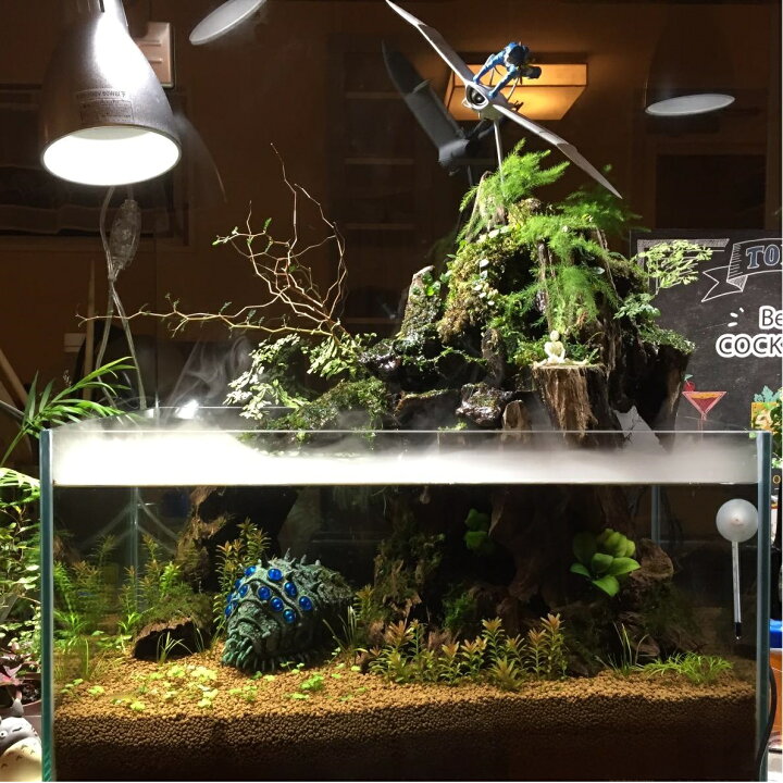 楽天市場 Agptek 超音波霧発生装置 水槽 築山 池など用 ミストメーカー 室内 噴水 Mambate 楽天市場 Agptek 超音波霧発生装置 水槽 築山 池など用 ミストメーカー 室内 噴水 Mambate