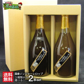 楽天市場 ジンジャーシロップの通販