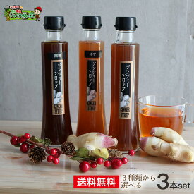 楽天市場 ジンジャーシロップの通販