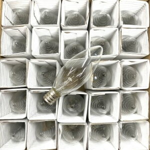 VfA () C26 E12 110V10W NA[ 25ZbgyԕiszMd P[X()̔ / VƖEV[OCgEX^hƖEƖELhCgȂǂ̕C