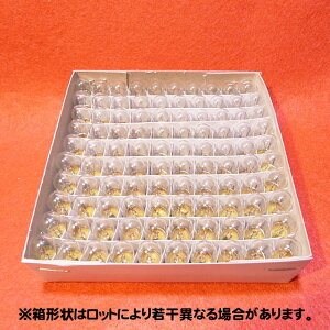 T10 E10 50V 5W pCbgv 100Zbg