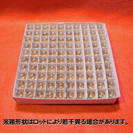 丸形パイロットランプ G11 BA9S 30V 1W [100個セット] クリヤー(クリアー) スワンベース S-9-1口金 小型 …