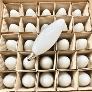 VfA () C32 E12 110V25W zCg 25ZbgyԕiszMd P[X()̔ / VƖEV[OCgEX^hƖEƖELhCgȂǂ̕C
