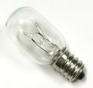 ナツメ球 T20 E12 30V 2W クリアー【返品交換不可】パイロットランプ クリヤー パネル球 ねじ込み スクリ…