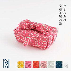 ylC~zĂʂX܂ʁ@ԁ@C~@50cm@ٓ݁@nJ`@G݁@pI@Mtg@v[g