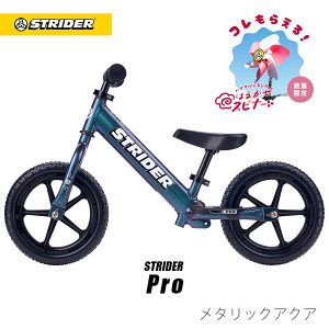 �X�g���C�_�[ �v�� [�V���o�[]