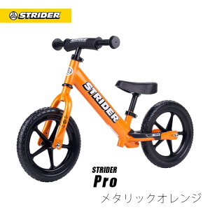 yLy[Iz yyV1ʎ܁z XgC_[ v 12C` S2Nۏ LbNoCN LbYoCN oXoCN jOoCN y_Ȃ qp] A~ y y 