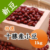 小豆 特選　北海道十勝厳選 十勝産小豆 1kg【令和7年産】