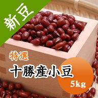 【令和7年産】小豆 特選 十勝産小豆 5kg 「十勝産」は全国トップブランド　同一圃場　手撰品　北海道　し…