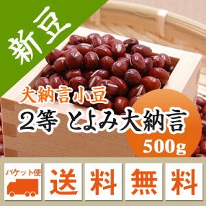 [ 2 Ƃݑ[ 500g@kCYyߘa6NYz[ 