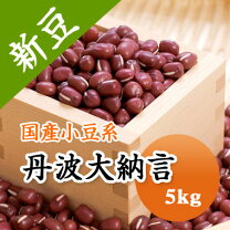 楽天市場】丹波大納言 小豆の通販 