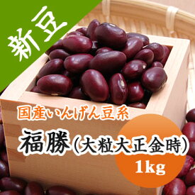 大正金時 福勝 (大粒 大正金時) 北海道産 1kg【令和5年産】