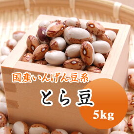 とら豆 虎豆 北海道産 5kg【令和5年産】