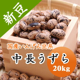 うずら豆 中長うずら 北海道産 20kg【令和7年産】 大容量